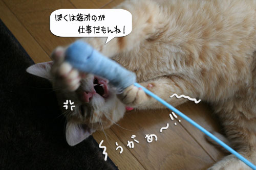 あたりは一面みぞれ世界_d0355333_16371042.jpg