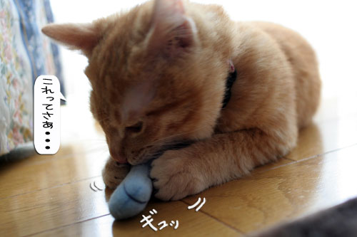 あたりは一面みぞれ世界_d0355333_16371053.jpg