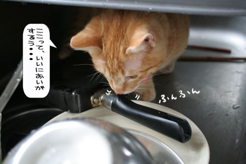 あたりは一面みぞれ世界_d0355333_16371063.jpg