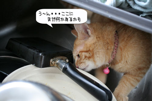 あたりは一面みぞれ世界_d0355333_16371136.jpg