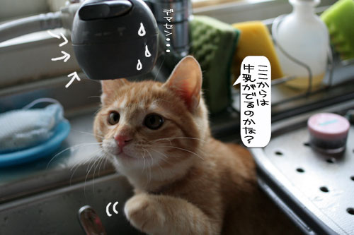 あたりは一面みぞれ世界_d0355333_16371247.jpg