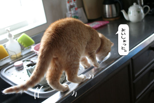 あたりは一面みぞれ世界_d0355333_16371298.jpg