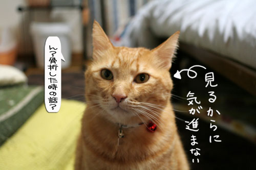 祝★特別賞受賞_d0355333_16372198.jpg