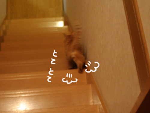 祝★特別賞受賞_d0355333_16372209.jpg
