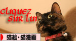 祝★特別賞受賞_d0355333_16372262.jpg