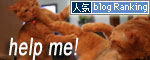 祝★特別賞受賞_d0355333_16372294.jpg