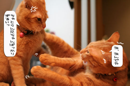 祝★特別賞受賞_d0355333_16372362.jpg