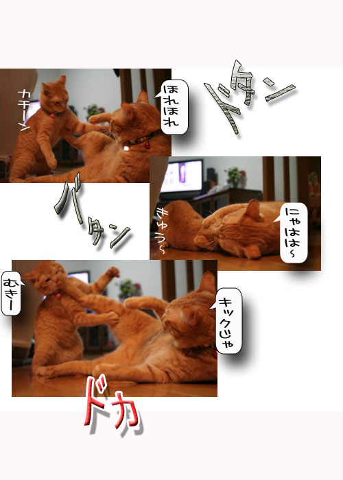 祝★特別賞受賞_d0355333_16372444.jpg