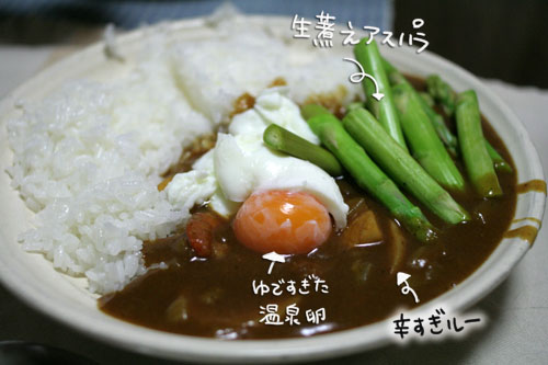 オツトカレー de ねこ鍋_d0355333_16372593.jpg