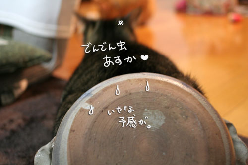 オツトカレー de ねこ鍋_d0355333_16373171.jpg