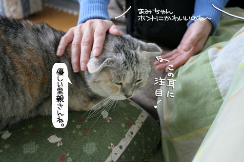 健太くんのお見合い報告_d0355333_16375102.jpg