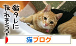 健太くんのお見合い報告_d0355333_16375366.jpg