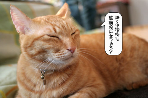 健太くんのお見合い報告_d0355333_16380034.jpg
