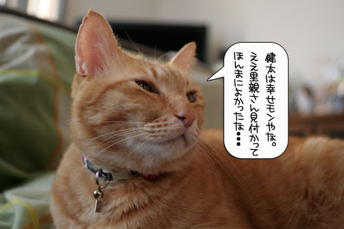 健太くんのお見合い報告_d0355333_16380049.jpg