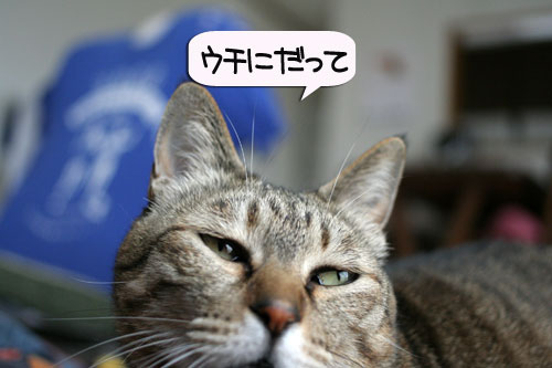 シッコ爆弾投下!_d0355333_16382954.jpg