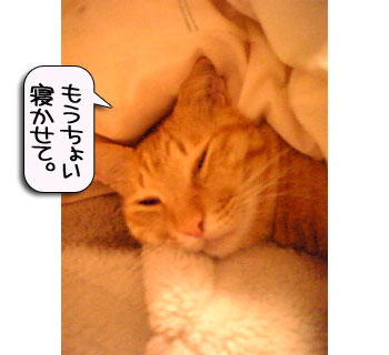 爆弾が去り・・・_d0355333_16383432.jpg