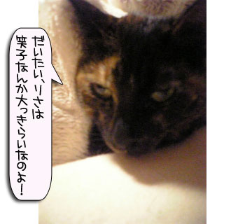 爆弾が去り・・・_d0355333_16383488.jpg