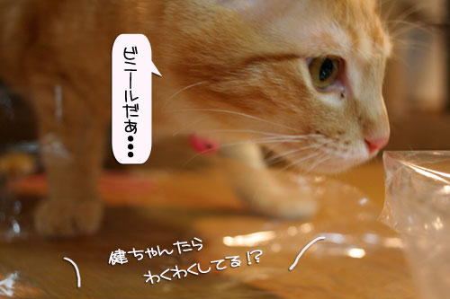 爆弾が去り・・・_d0355333_16383586.jpg