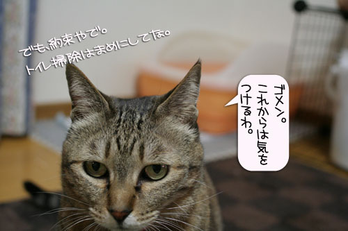爆弾が去り・・・_d0355333_16383603.jpg