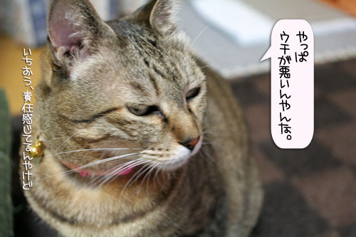 爆弾が去り・・・_d0355333_16383604.jpg