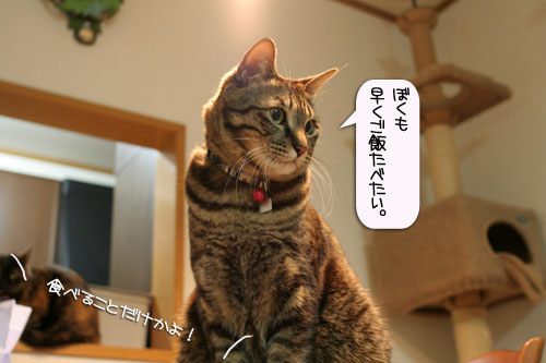 爆弾が去り・・・_d0355333_16383701.jpg