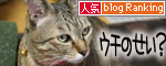 爆弾が去り・・・_d0355333_16384017.jpg