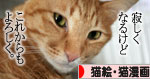 朝日は猫と相性がいい_d0355333_16384698.jpg