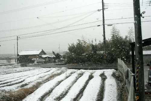 ハレの日に雪が降る_d0355333_16385264.jpg