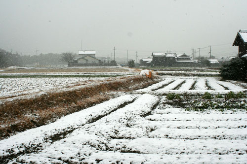 ハレの日に雪が降る_d0355333_16385382.jpg