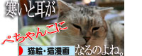 ハレの日に雪が降る_d0355333_16385456.jpg