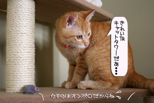 健太くんの旅立ちの日_d0355333_16385877.jpg