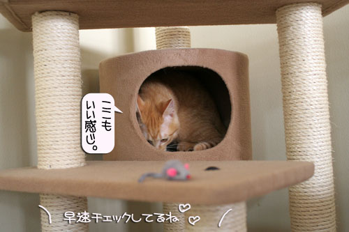 健太くんの旅立ちの日_d0355333_16385923.jpg