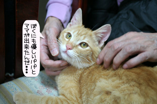 健太くんの旅立ちの日_d0355333_16390002.jpg