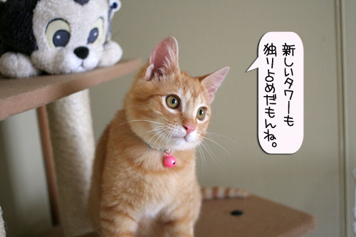 健太くんの旅立ちの日_d0355333_16390108.jpg