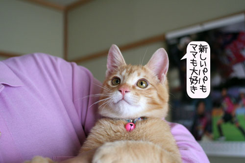 健太くんの旅立ちの日_d0355333_16390141.jpg