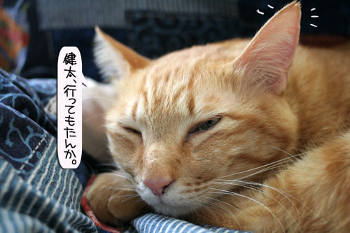 健太くんの旅立ちの日_d0355333_16390211.jpg
