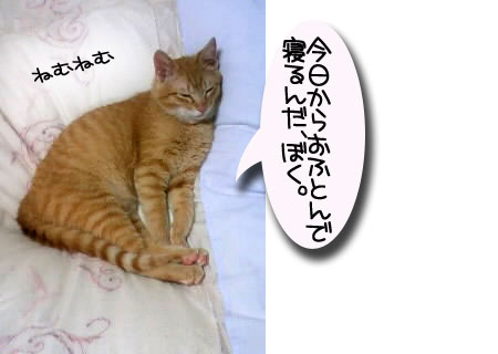 ほんの少しの寂しさと大きな喜びと_d0355333_16390326.jpg