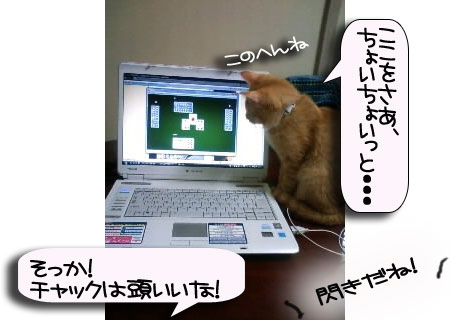 ほんの少しの寂しさと大きな喜びと_d0355333_16390466.jpg