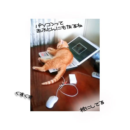 ほんの少しの寂しさと大きな喜びと_d0355333_16390467.jpg