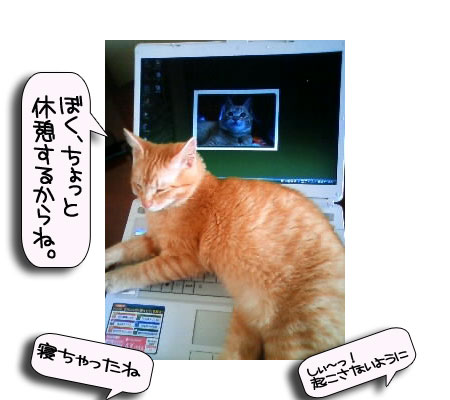 ほんの少しの寂しさと大きな喜びと_d0355333_16390494.jpg