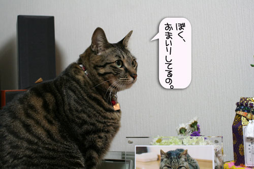 ほんの少しの寂しさと大きな喜びと_d0355333_16390503.jpg