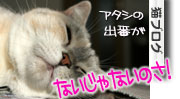 ほんの少しの寂しさと大きな喜びと_d0355333_16390545.jpg
