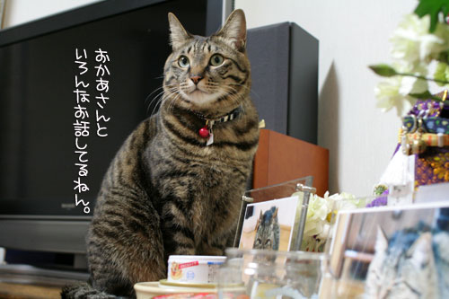ほんの少しの寂しさと大きな喜びと_d0355333_16390594.jpg