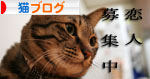 猫にもバレンタイン_d0355333_16393033.jpg