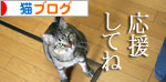 診察台でもくつろげるネコ_d0355333_16394325.jpg