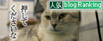 診察台でもくつろげるネコ_d0355333_16394406.jpg