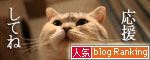 猫の寝顔ってステキ_d0355333_16394833.jpg