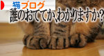 かわいい角度は斜め45度上向き。_d0355333_16395392.jpg