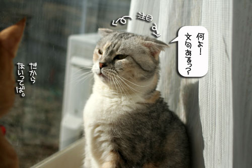 姫様ご乱心&カシオペアの丘で_d0355333_16395659.jpg