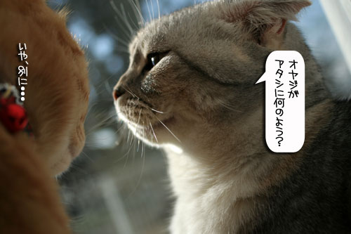 姫様ご乱心&カシオペアの丘で_d0355333_16395689.jpg